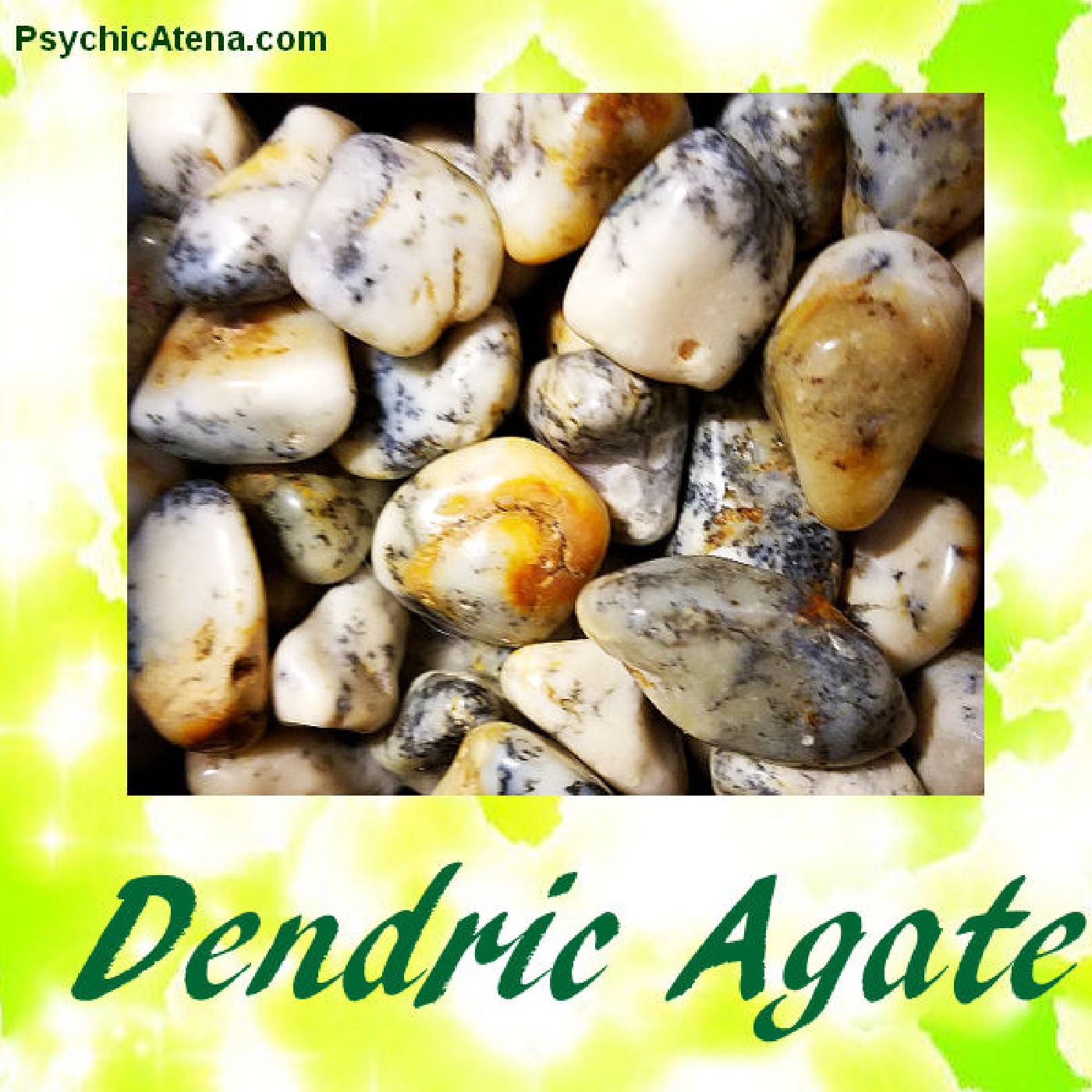 Dendric Agate